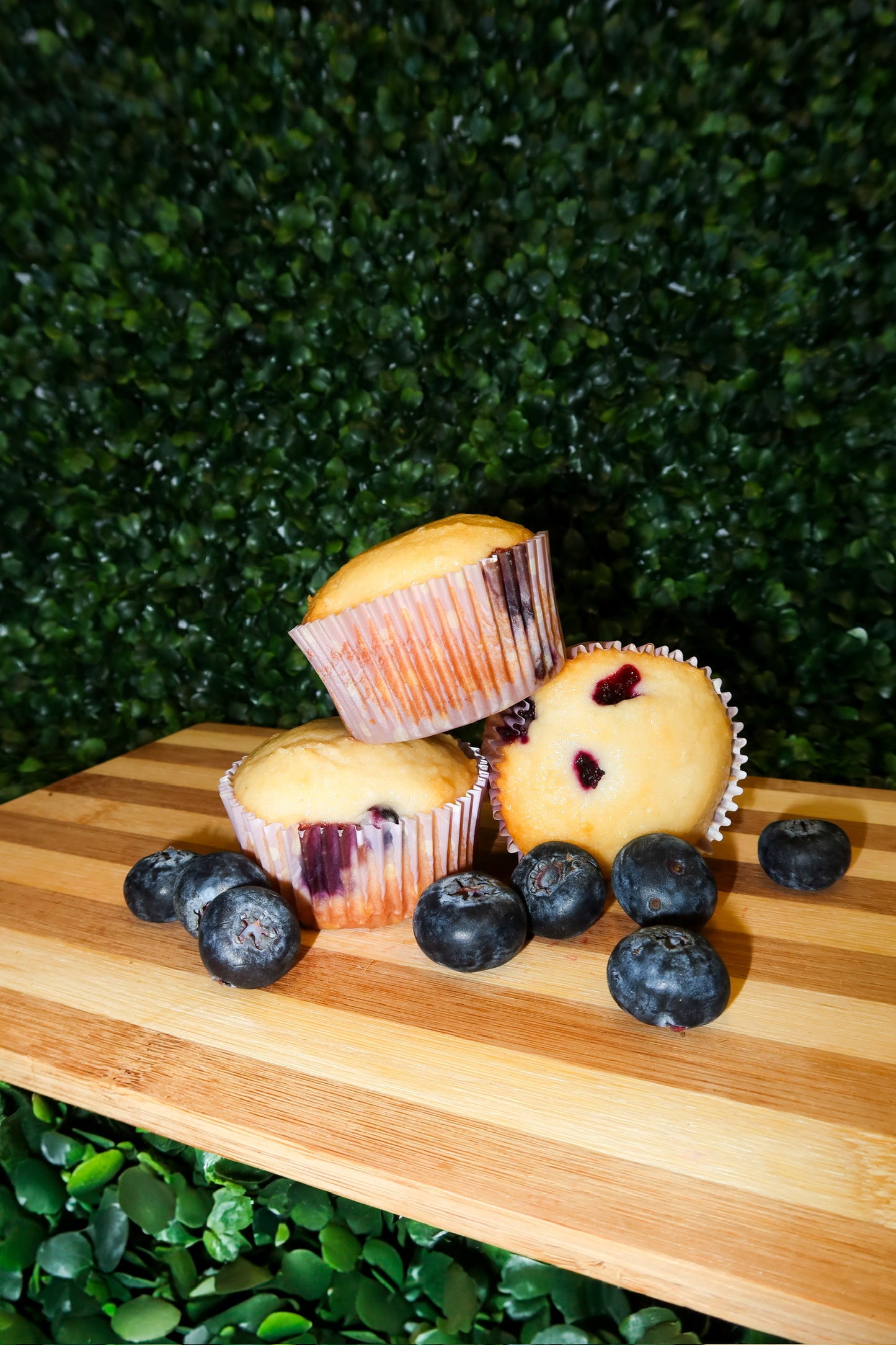 Blueberry Protein Muffins